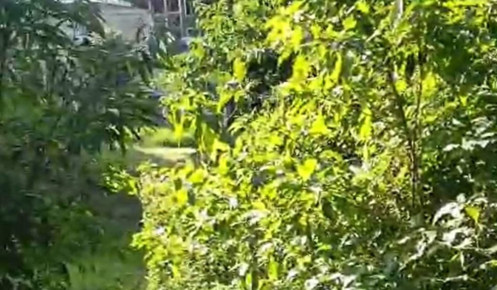 Rua josé castro barbosa no bairro Jardim Laranjeiras, em Juiz de Fora