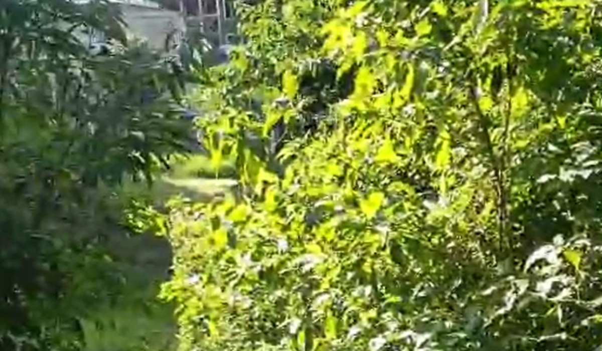 Rua josé castro barbosa no bairro Jardim Laranjeiras, em Juiz de Fora