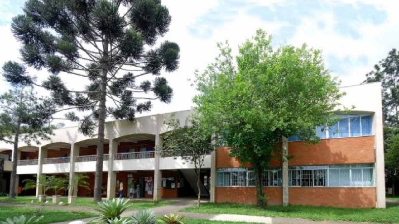 professor substituto ufjf servico social