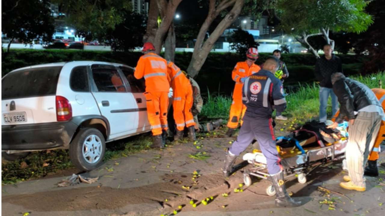 Acidente Avenida Brasil Juiz de Fora carro arvore