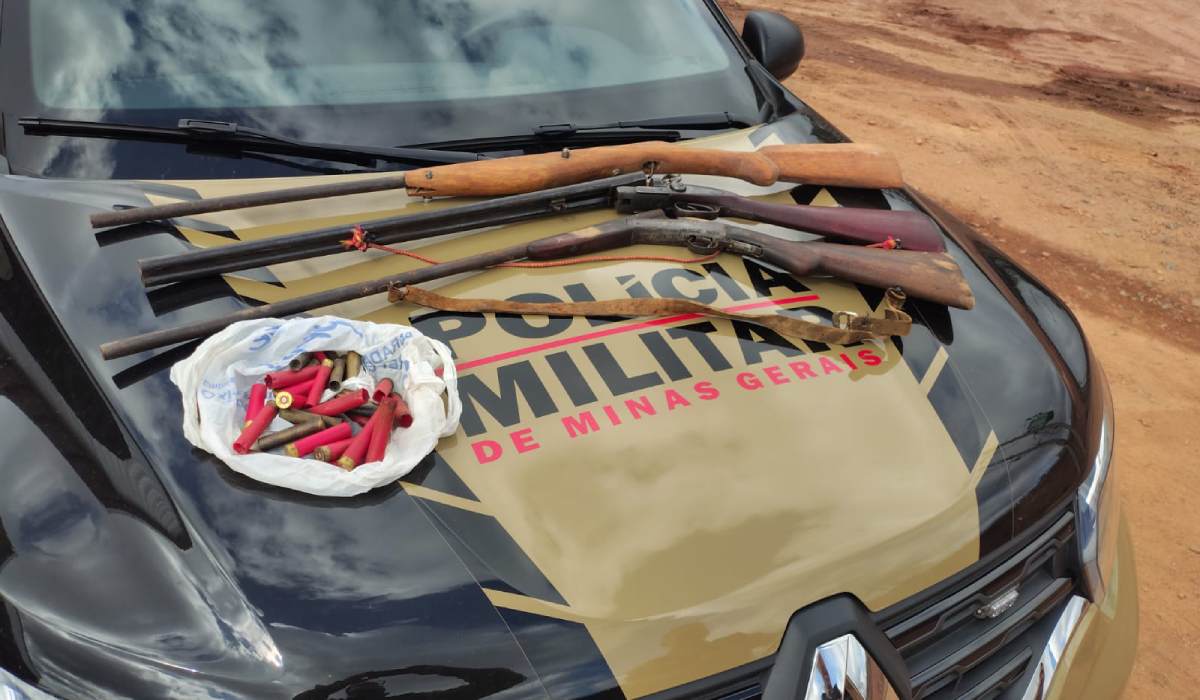 Armas e munições apreendidas em Bom Jardim de Minas