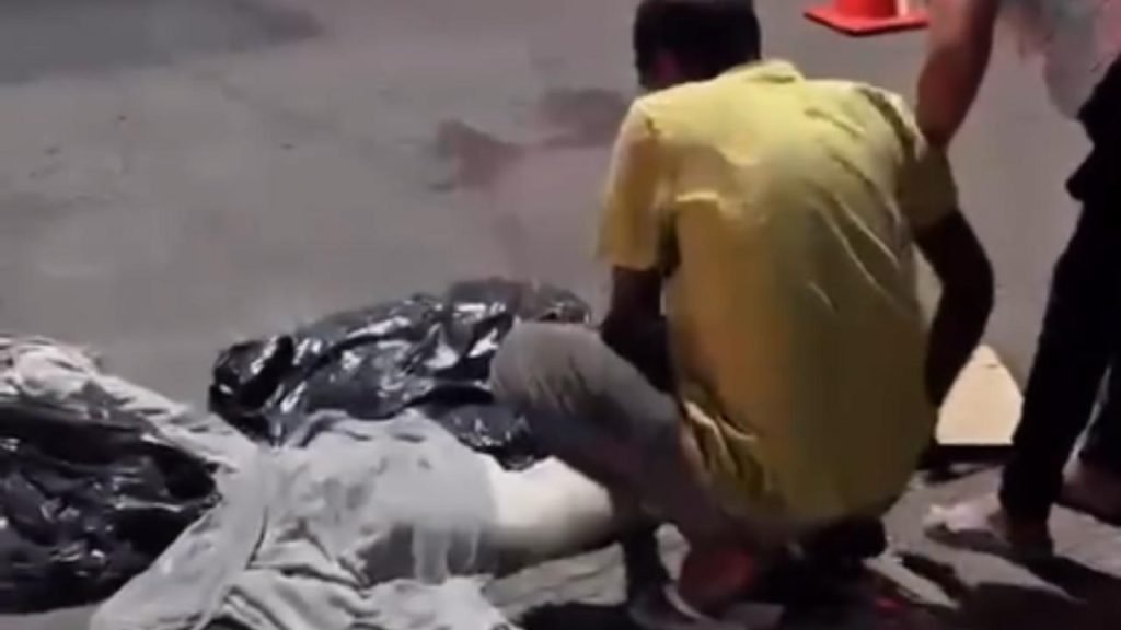 cachorro atropelado juiz de fora