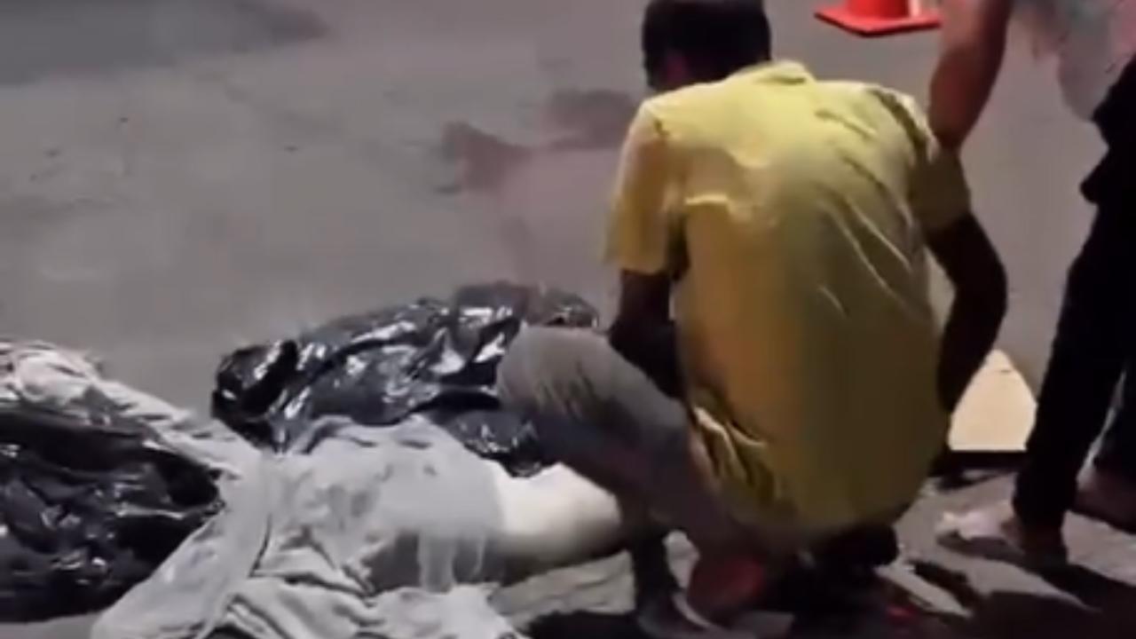 cachorro atropelado juiz de fora