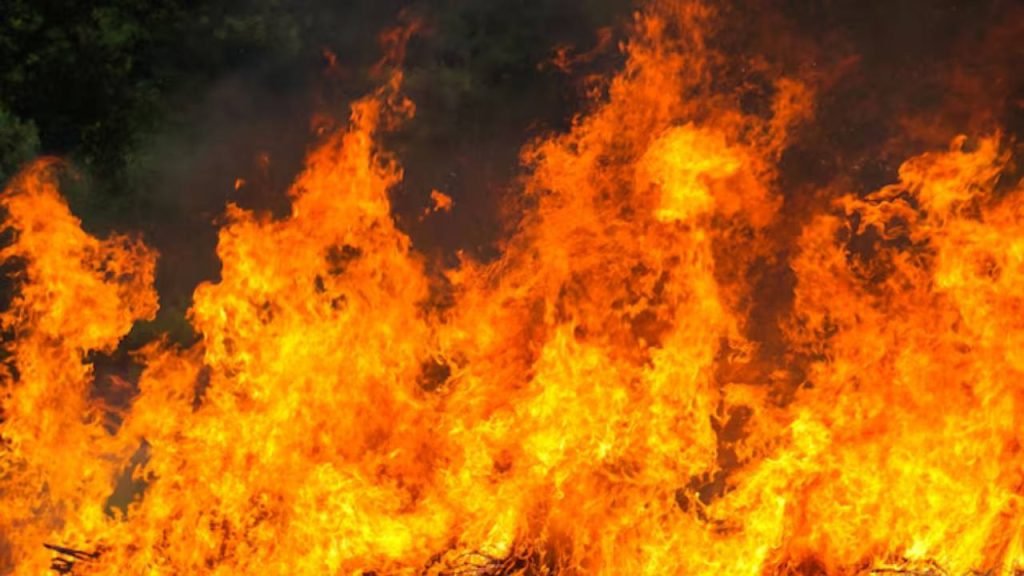 Incendio Juiz de Fora Dom Bosco