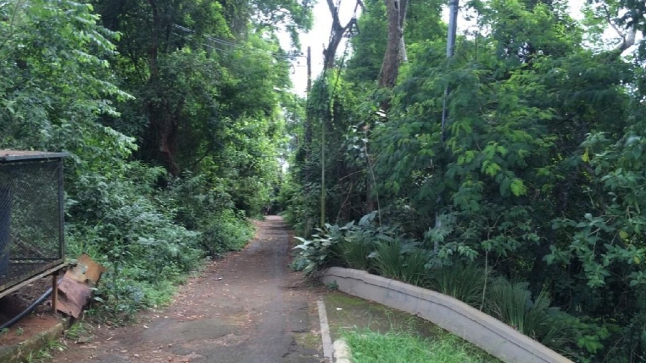Trilha Morro do Cristo Assalto