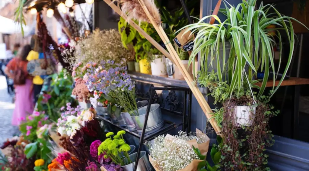 Barraca de flores Juiz de Fora
