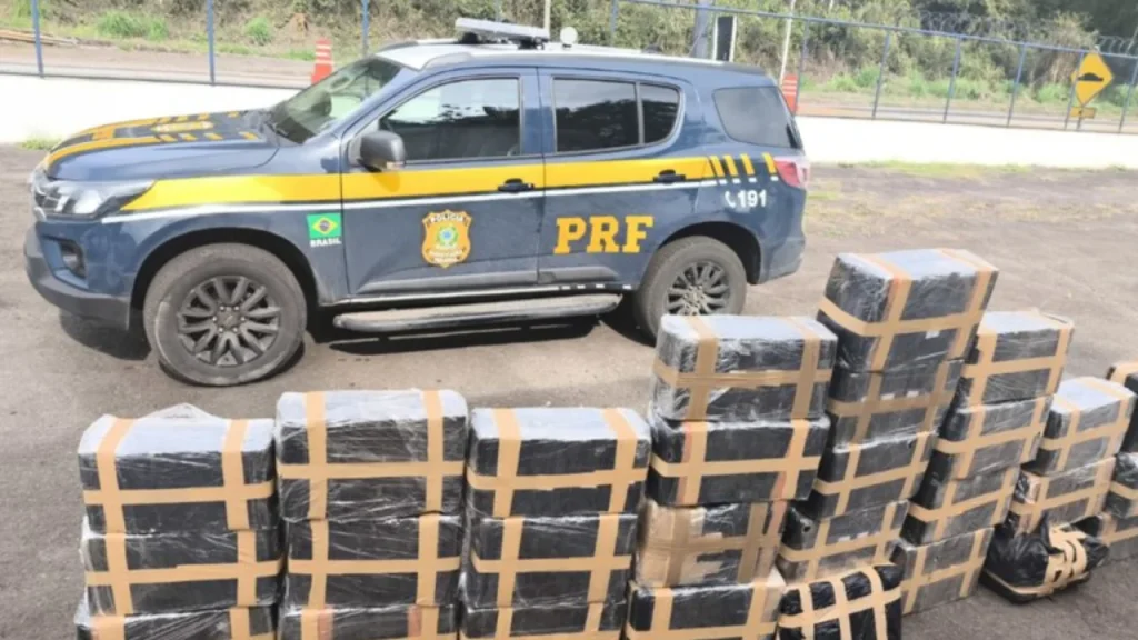 PRF apreende quase 800 kg de maconha na BR-267 em Juiz de Fora 8 PRF maconha Juiz de Fora