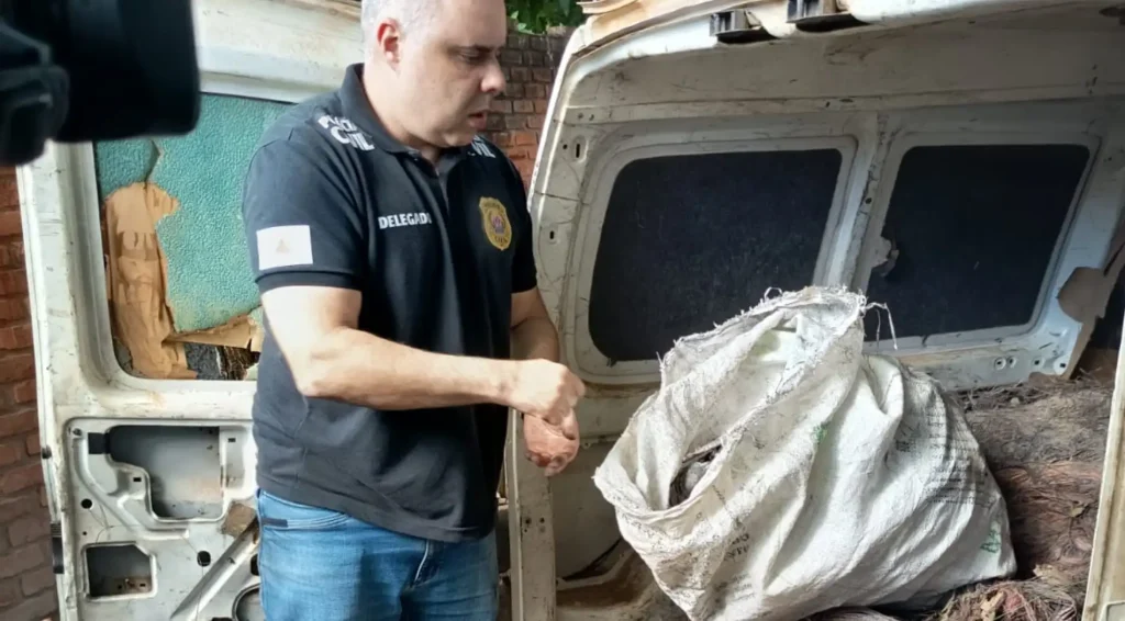 operação Cyprium