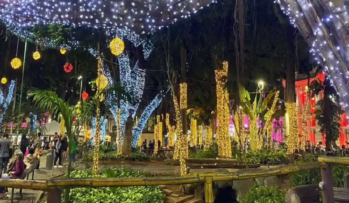 Luzes de Natal 2025 vai iluminar centro e zona rural de Juiz de Fora