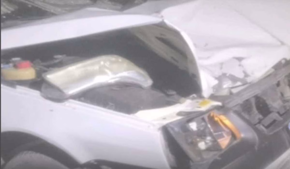 Acidente entre cavalo e carro, em Juiz de Fora, deixou homem ferido