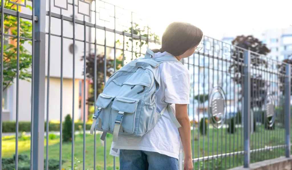 Escolas devem avisar aos pais sobre atividades extracurriculares feitas pelos estudantes 2 Lei quer limite de peso nas mochilas dos estudantes de Juiz de Fora. Atividades extracurriculares