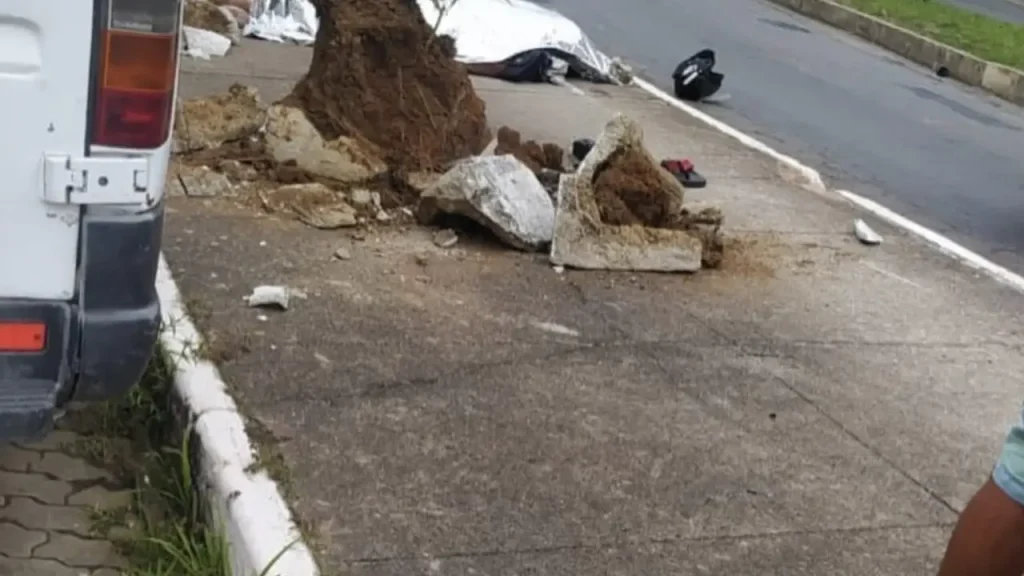Motociclista de 46 anos morre após bater em árvore na Av. Garcia Rodrigues Paes 1 homem morre apos bater moto arvore