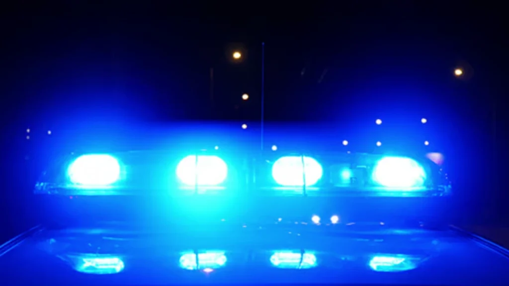 homem preso agredir irma benfica