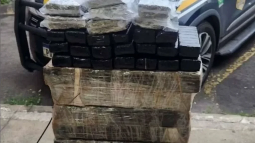 prf 116 kg maconha