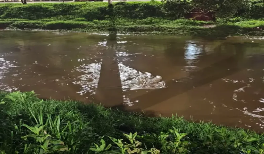 Carro caiu no Rio Paraibuna, em Juiz de Fora