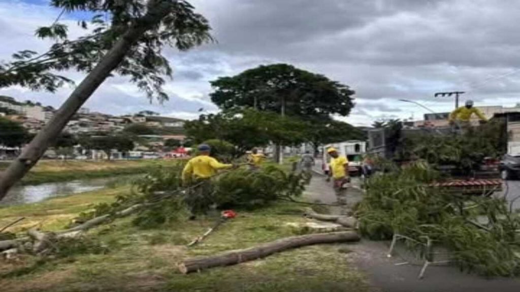 Ventos de 70 km/h causam destelhamento e quedas de árvores em Juiz de Fora
