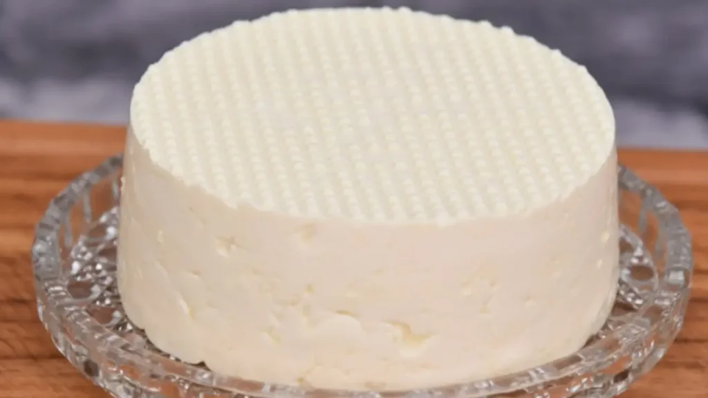 Dia Mundial do Queijo degustacao