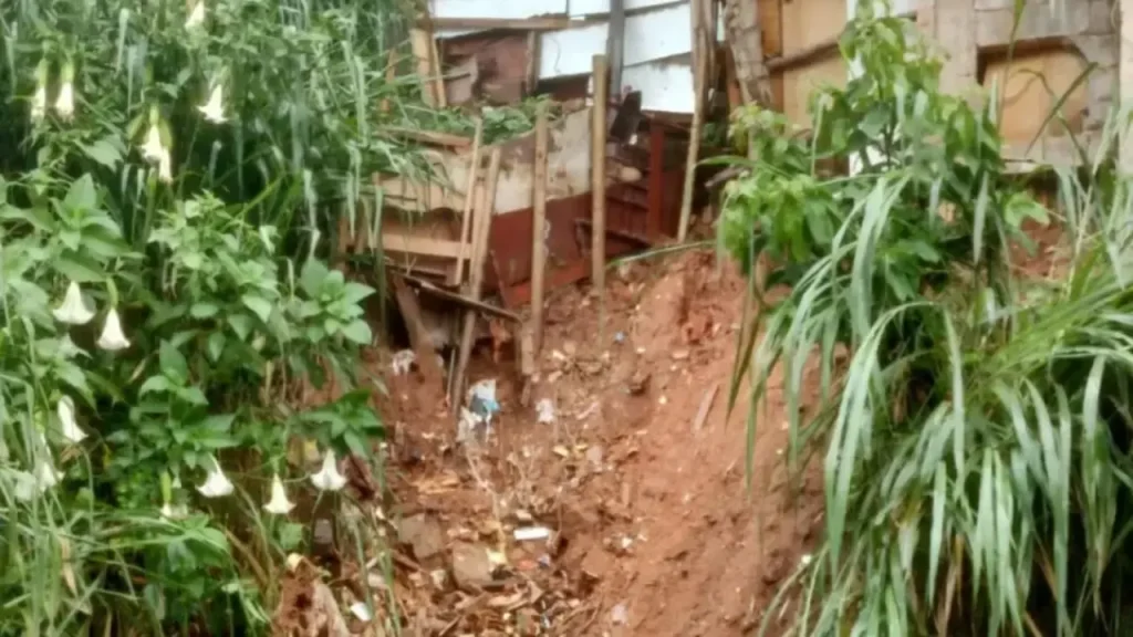 Balanço da chuva de segunda em Juiz de Fora tem emergências e desalojados 7 Chuva provoca escorregamentos, quedas de árvores e deixa dois desalojados em Juiz de Fora