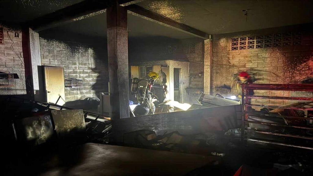 Incêndio atinge casa de ração no distrito de Dias Tavares, em Juiz de Fora 7 Incêndio atinge casa de ração no distrito de Dias Tavares, em Juiz de Fora