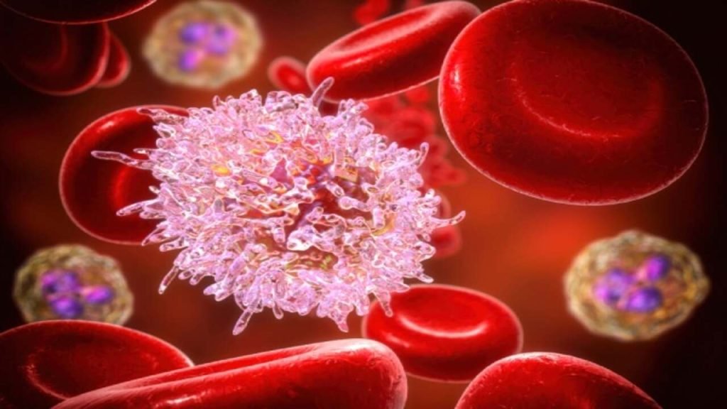 Mais de 27 mil casos por ano: cânceres do sangue ainda são diagnosticados tardiamente no Brasil