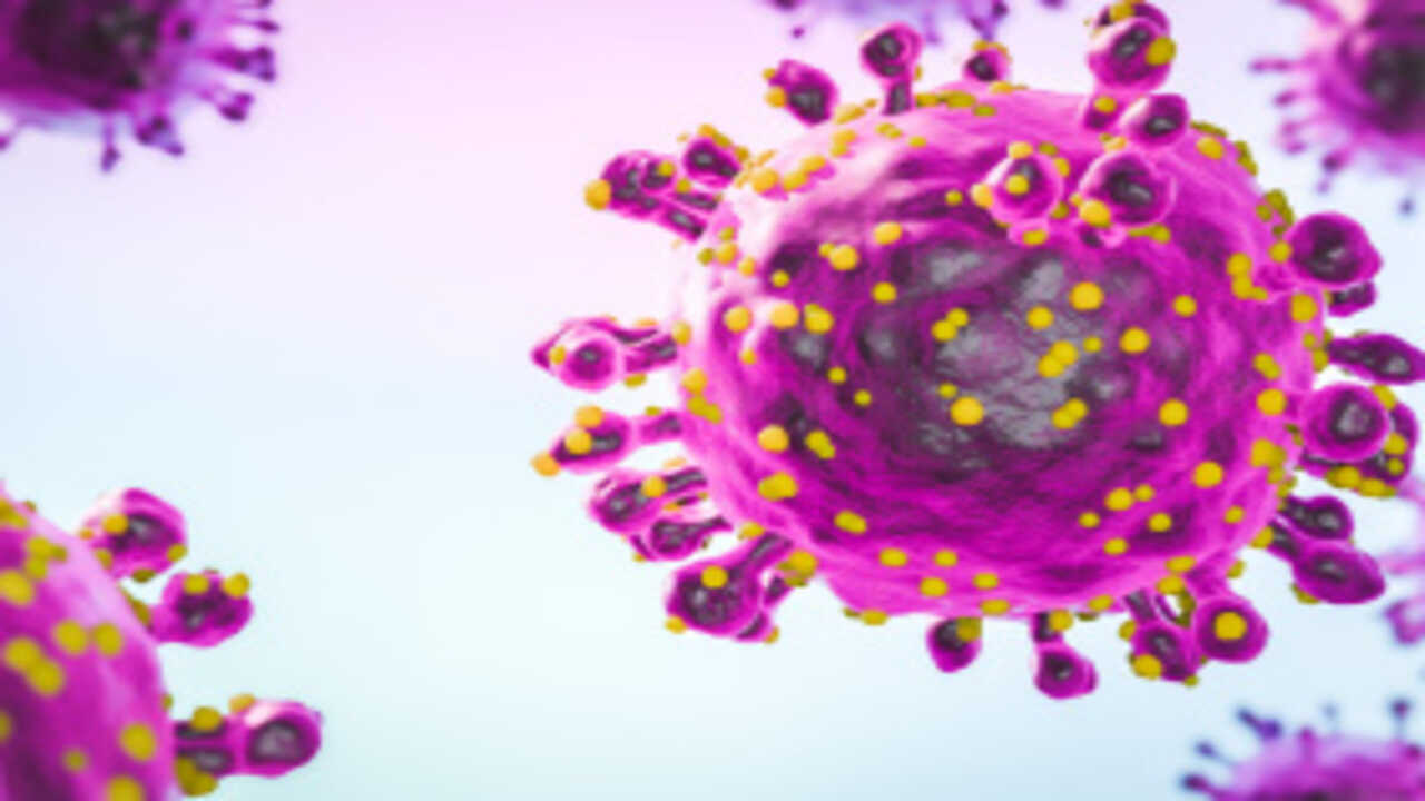 Especialistas alertam para avanço de vírus e riscos sanitários em 2026