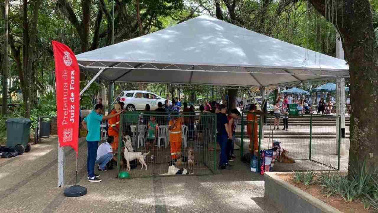 Juiz de Fora realiza evento de adoção de animais neste sábado no Jardim Glória