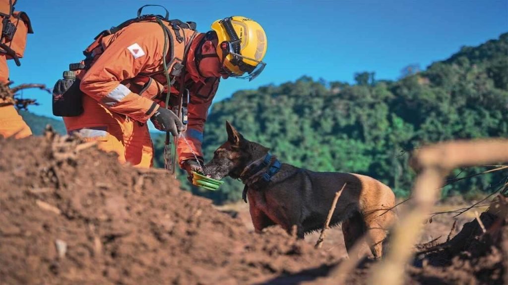Concurso dos Bombeiros MG abre 342 vagas: veja tudo sobre o edital