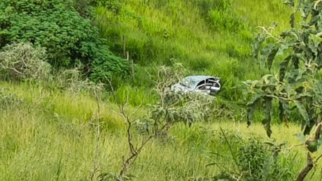 carro despencou parque das aguas juiz de fora