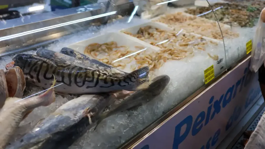 Qualidade do pescado exige atenção redobrada neste período de Semana Santa