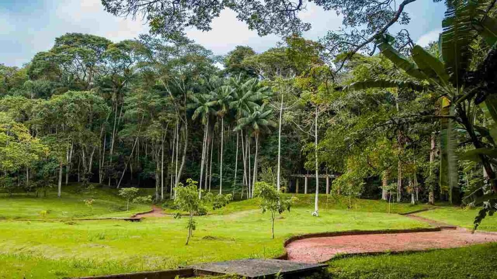 Jardim Botânico da UFJF recebe oficina gratuita sobre jornalismo ambiental em Juiz de Fora