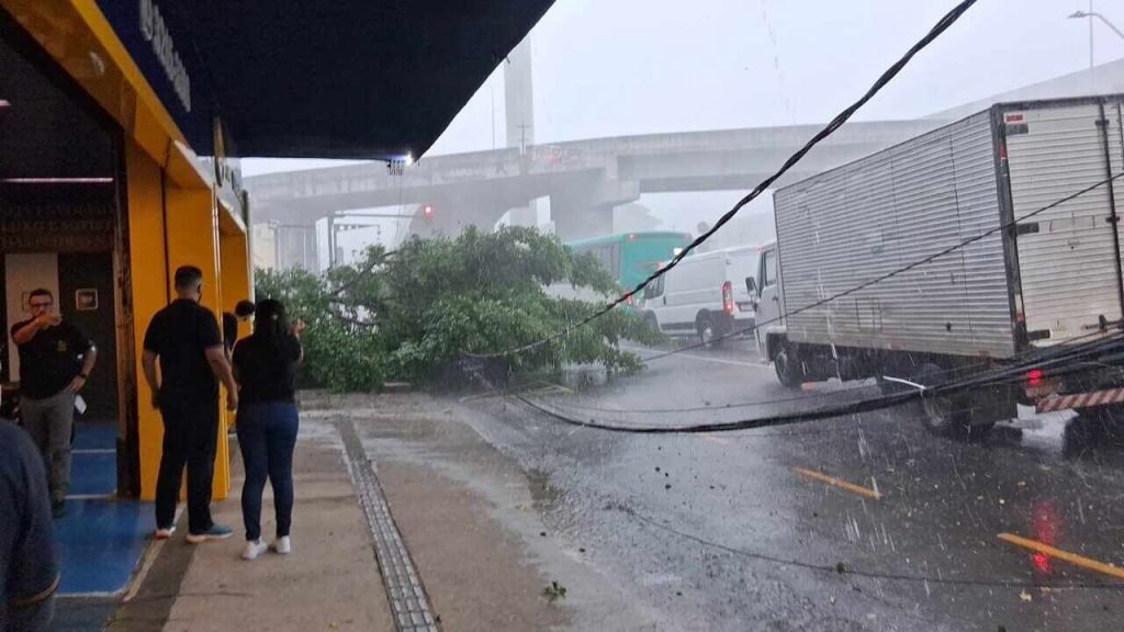 Temporal com granizo provoca queda de árvores, ventania e alerta de risco em Juiz de Fora