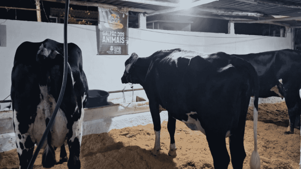 Circuito agropecuário de Juiz de Fora terá 14 eventos rurais entre junho e setembro 6 Circuito agropecuário de Juiz de Fora terá 14 eventos rurais entre junho e setembro