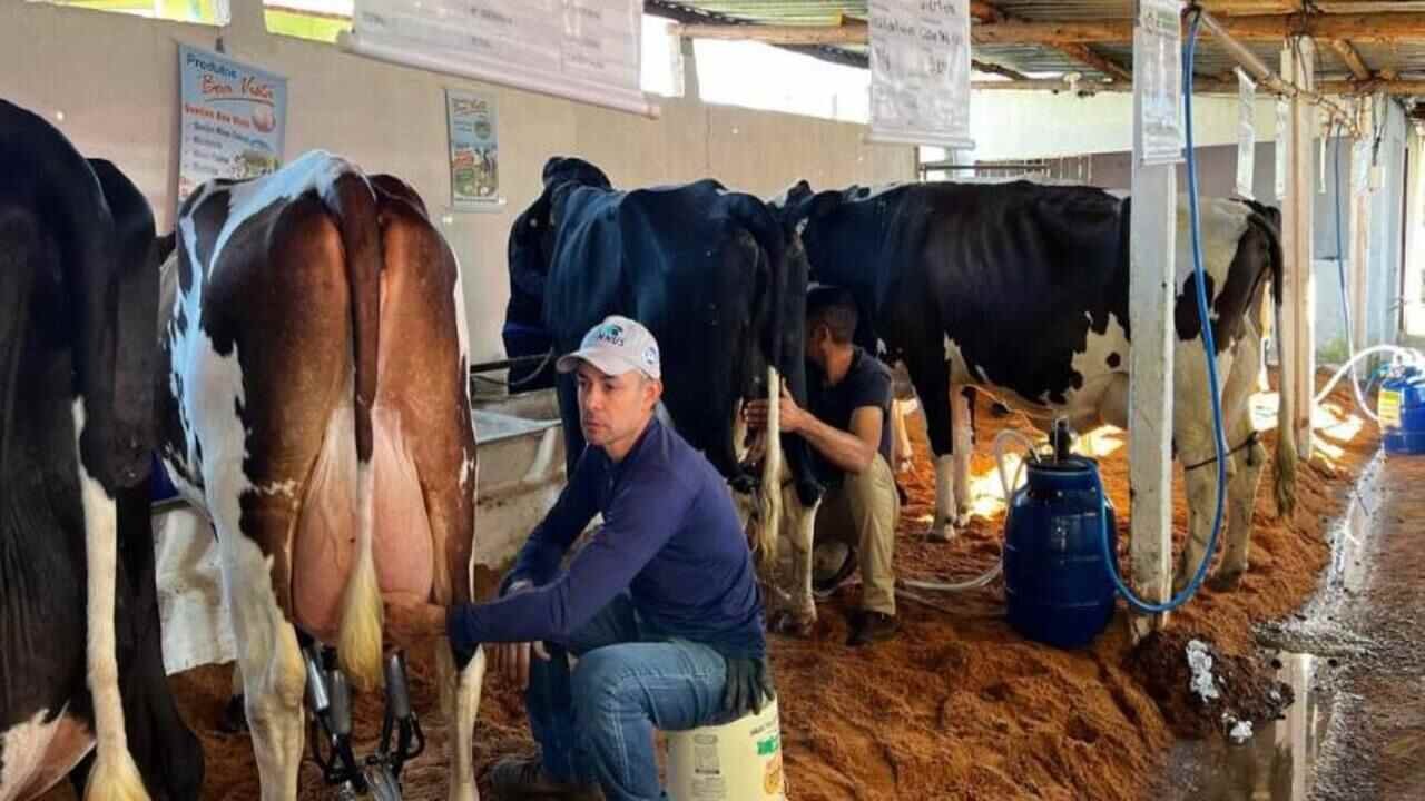Expo Feira de Gado Leiteiro de Torreões começa nesta quinta com shows e programação rural