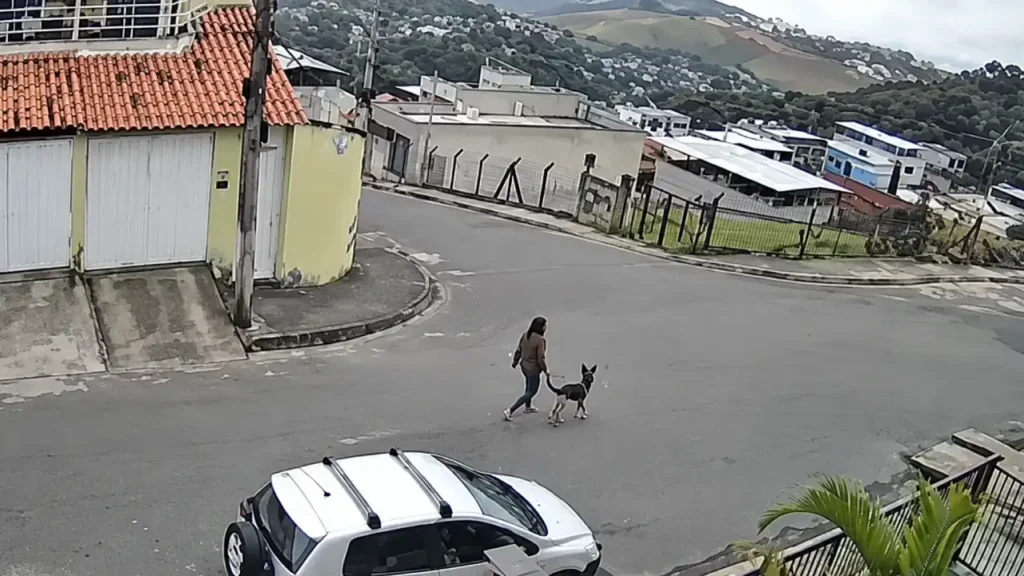 Gesseiro ajuda a salvar mulher e cachorro durante ataque de pitbull em Juiz de Fora 7 ataque pitbull juiz de fora