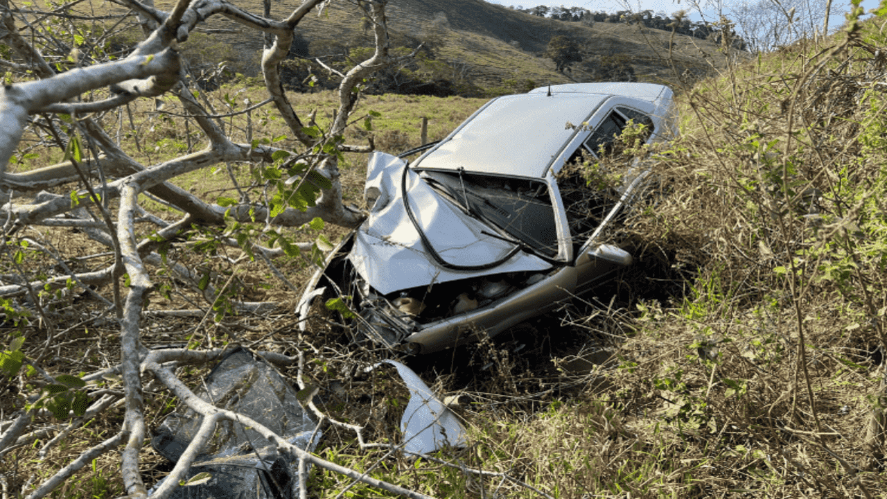 Motorista fica ferido após carro sair da pista e bater em árvore na MGC-265