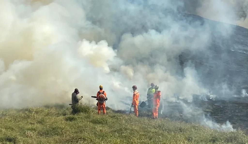 Incêndio atinge Parque Estadual Mata do Krambeck, em Juiz de Fora 2 Incêndio no Parque Estadual Mata do Krambeck, em Juiz de Fora