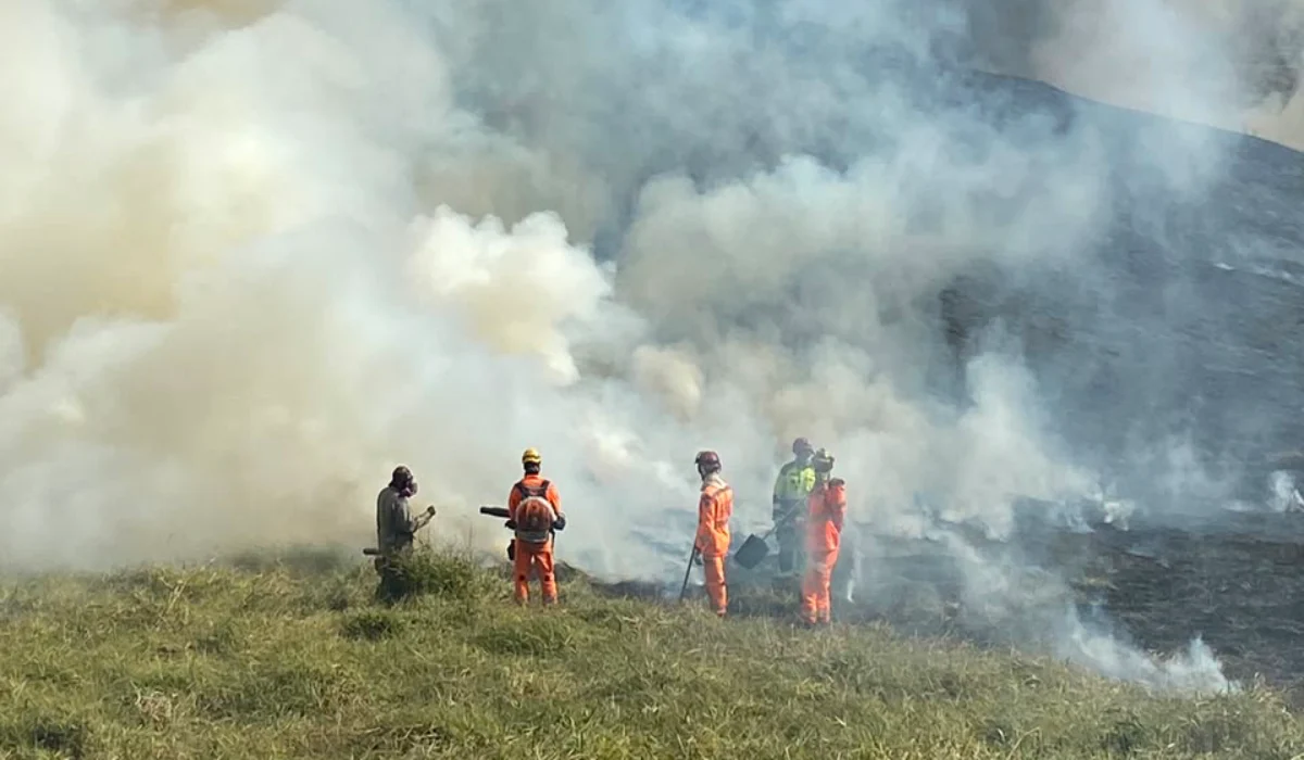 Incêndio no Parque Estadual Mata do Krambeck, em Juiz de Fora