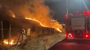 Incêndio em vegetação destrói área equivalente a 10 campos de futebol em Juiz de Fora