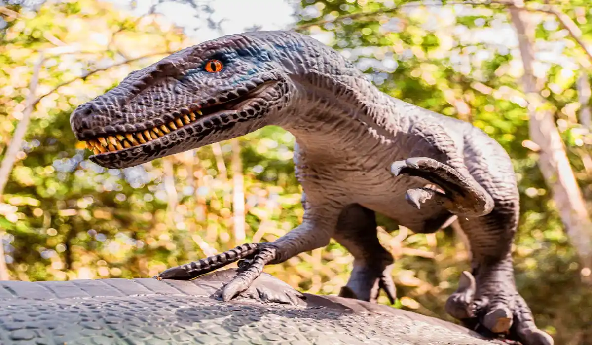 Terra dos Dinos terá unidade em Matias Barbosa