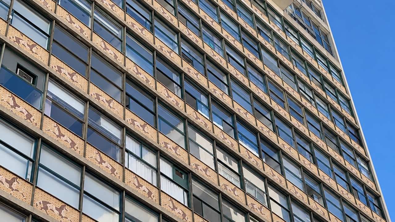 portinari juiz de fora